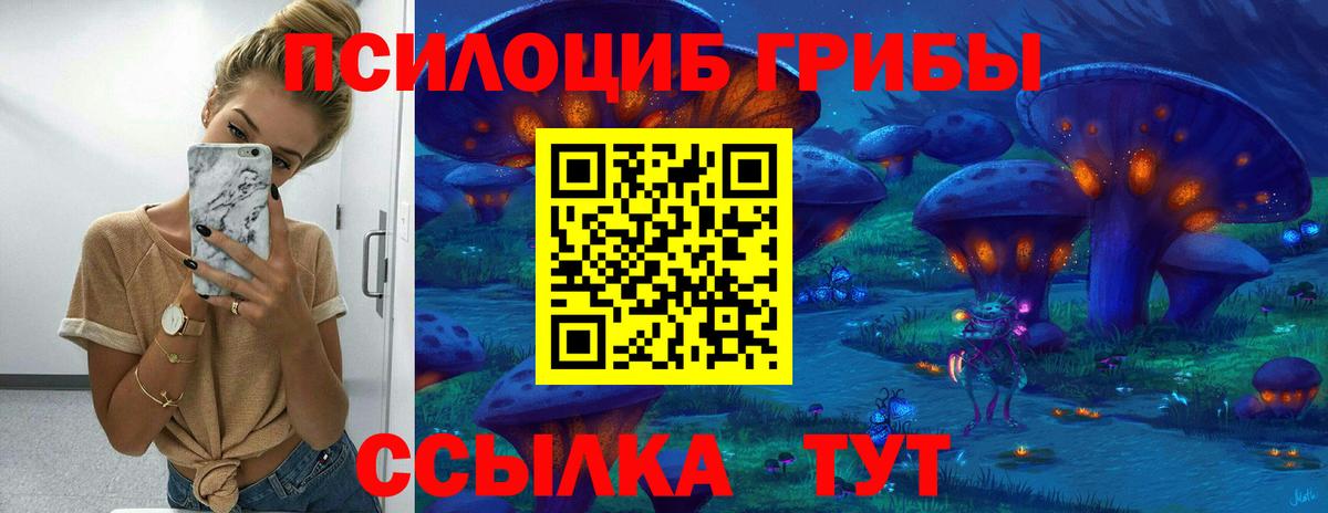 Псилоцибиновые грибы Cubensis Белогорск